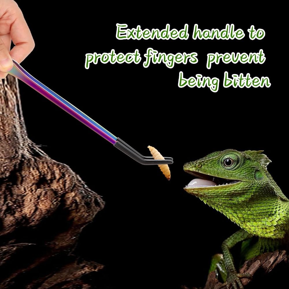 Pinzas de acero inoxidable par - Feeding Tong Stainless reseña y precio