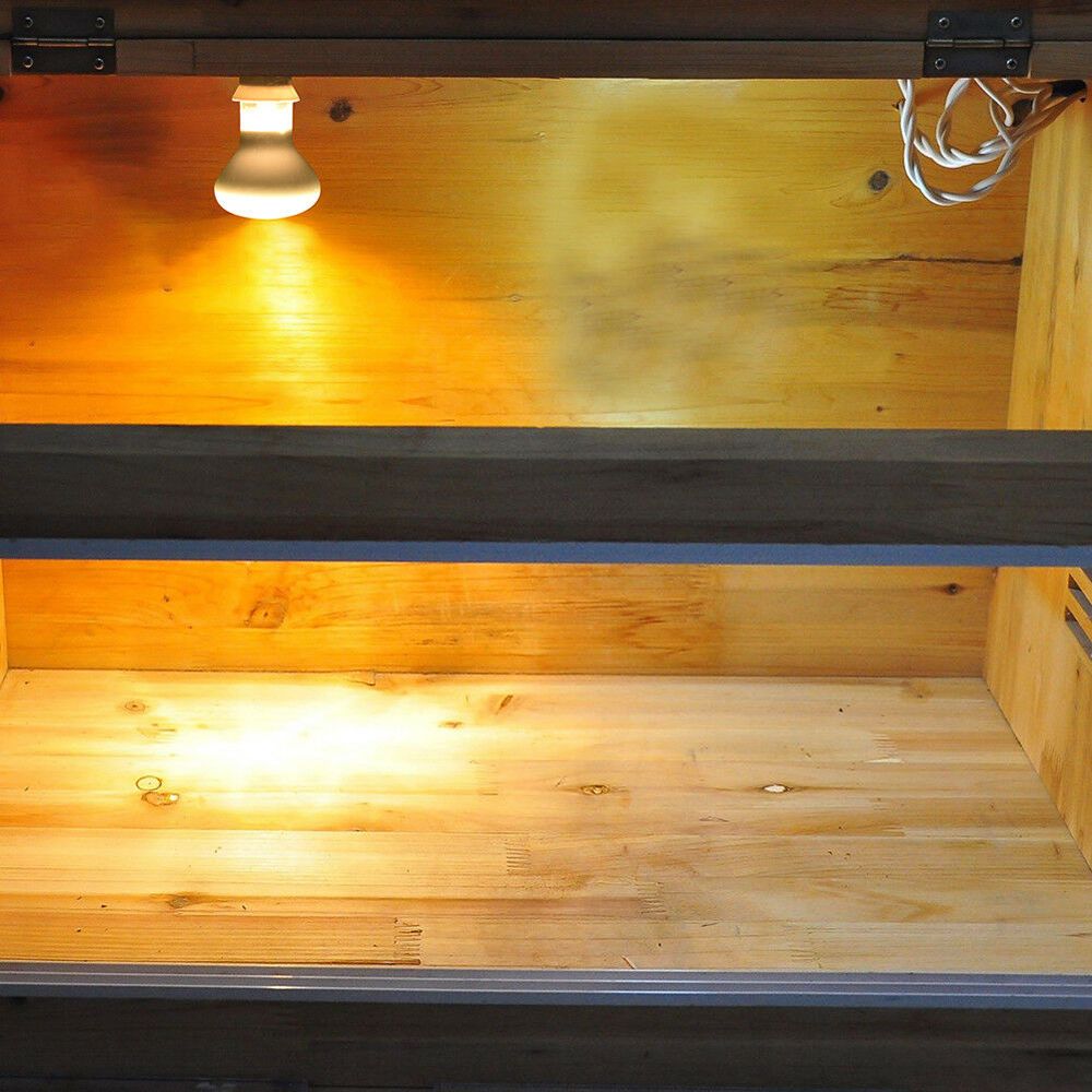 Lámpara de calor para anfibios - Basking Bulb Halogen reseña y precio